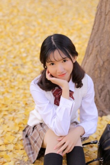 云画的月光
